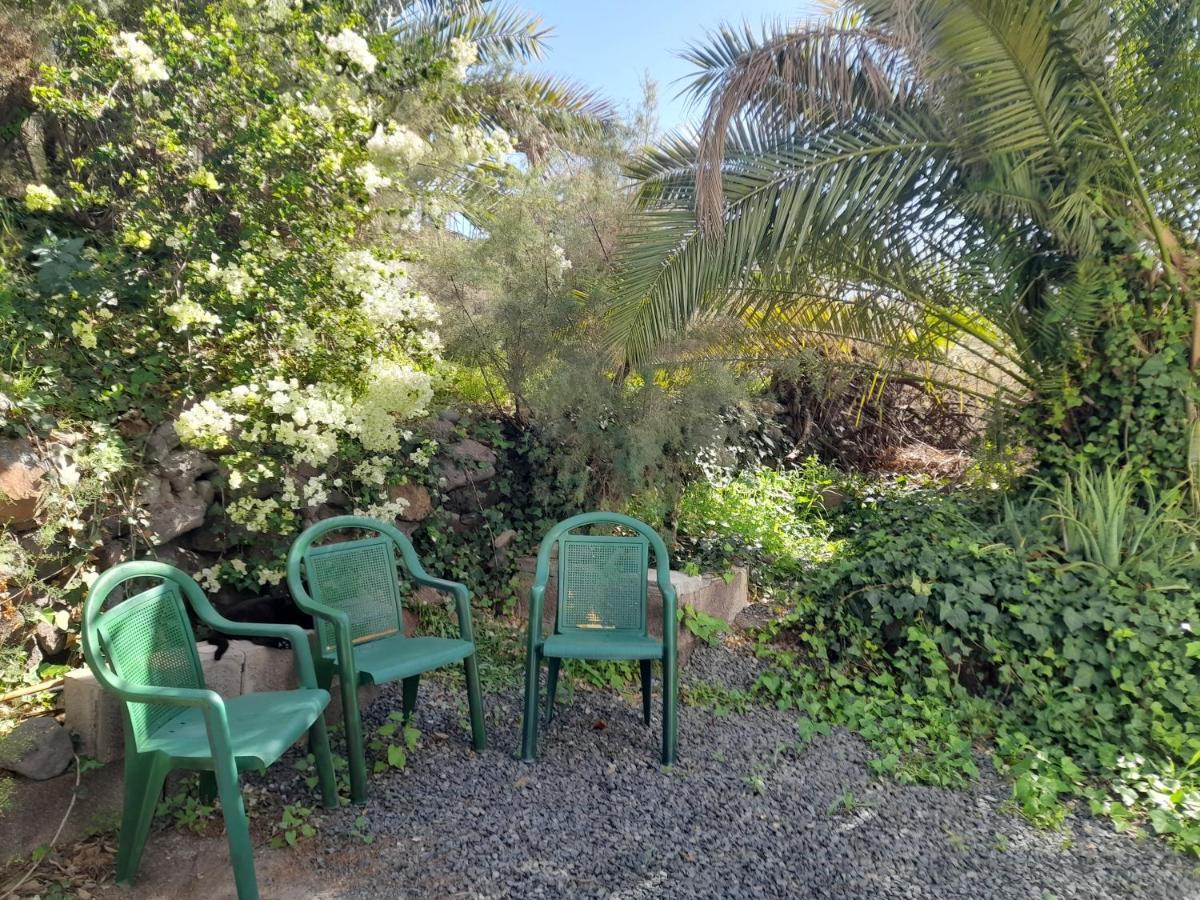 -The Garden - Lejlighed Las Palmas de Gran Canaria Eksteriør billede